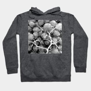 Grapes Fruit black and white Hoodie